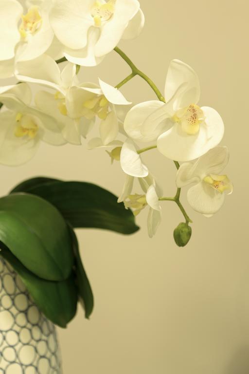 Firenze Apartments Екстериор снимка